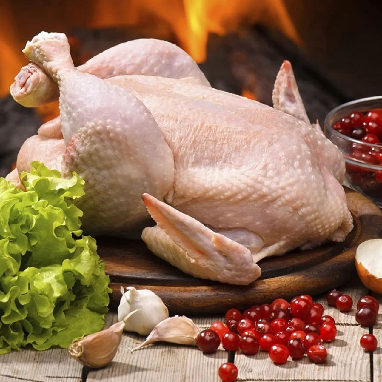 Antalya tavukçuluk üretiminden yakın plan