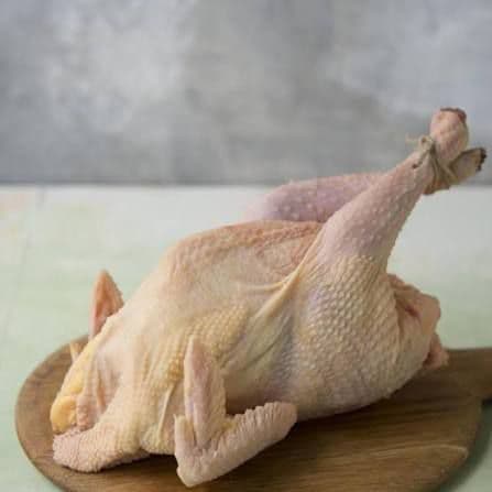 Ürün tedariği için hazırlanmış tavuklar