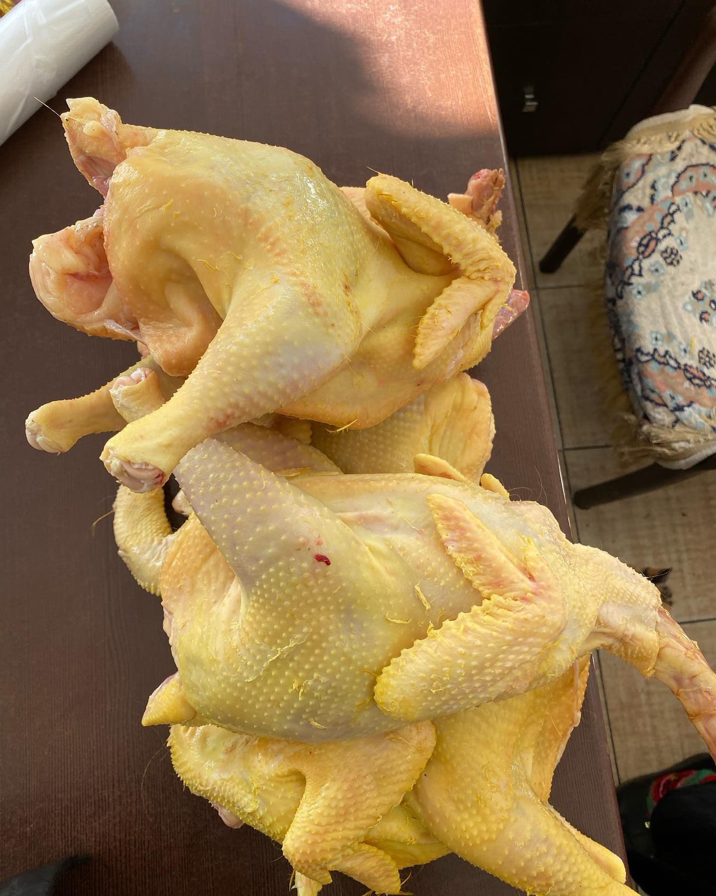 Geleneksel yöntemle yetiştirilen tavuklar