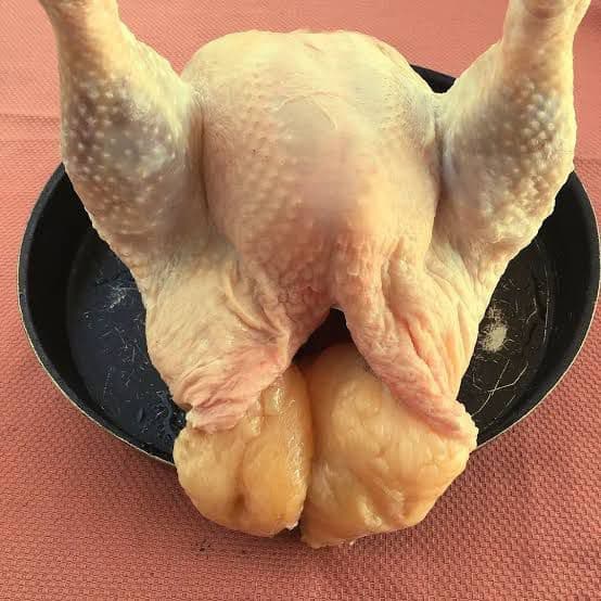 Antalya Eğret Tavukçuluk çiftliğinde tavuk yetiştiriciliği