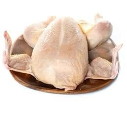 Antalya çiftliğinden günlük üretim